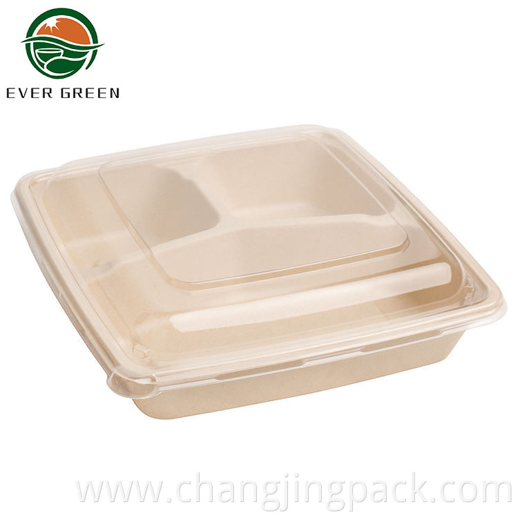  sugarcane food container